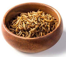 Load image into Gallery viewer, Dried Mealworms (Whole) 3lb
