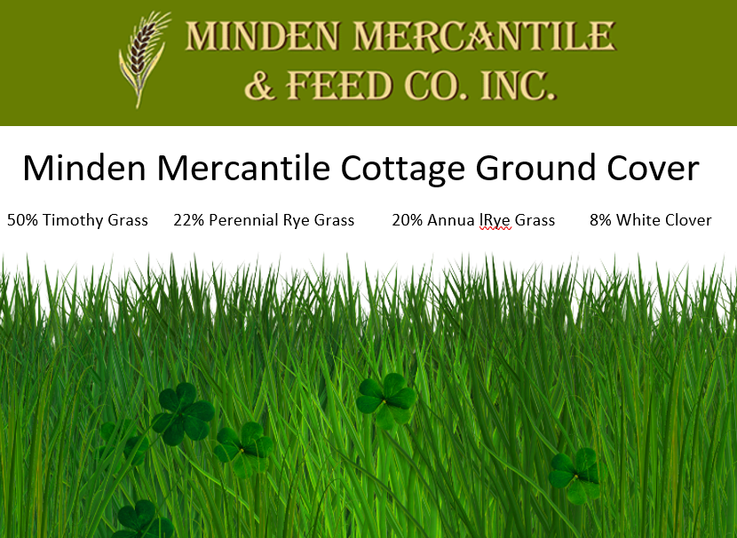 Cottage Ground Cover Grass Seed 2kg
