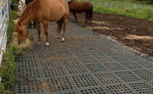 Load image into Gallery viewer, Hahn Mud Control Grids (19.5" sq)