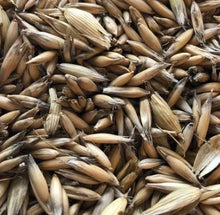 Load image into Gallery viewer, Common Oat Seed