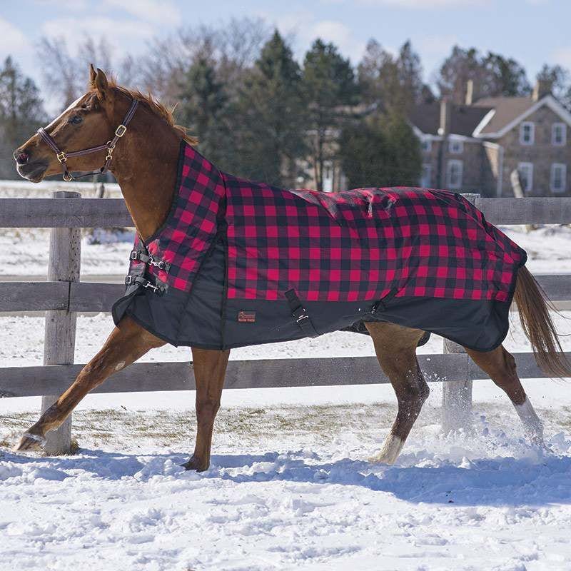 Canadian Horsewear Buffalo Plaid Storm Blanket 69