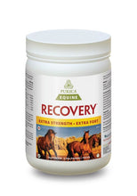 Load image into Gallery viewer, Purica Recovery Extra Strength