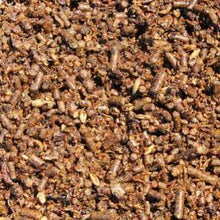 Load image into Gallery viewer, Brooks Fibre O Plus