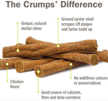 Load image into Gallery viewer, Crumps' Naturals Plaque Busters Pumpkin Spice