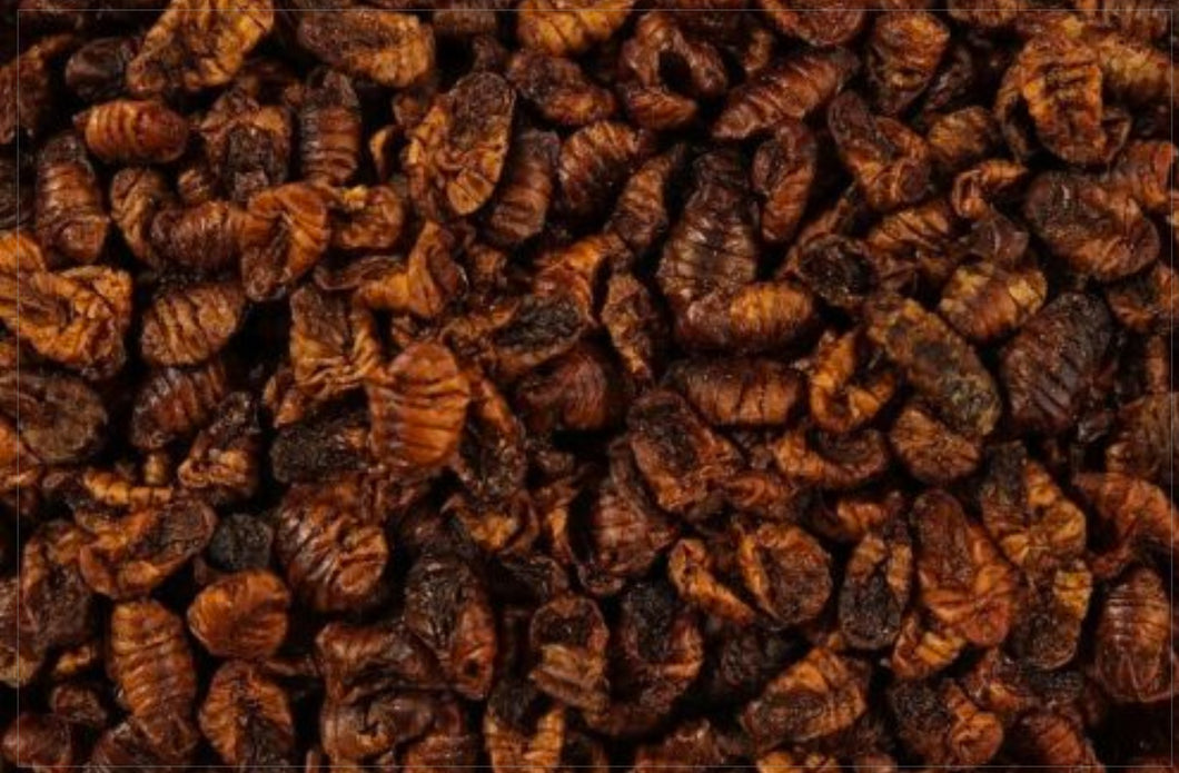 Dried Silkworm Pupae 1lb