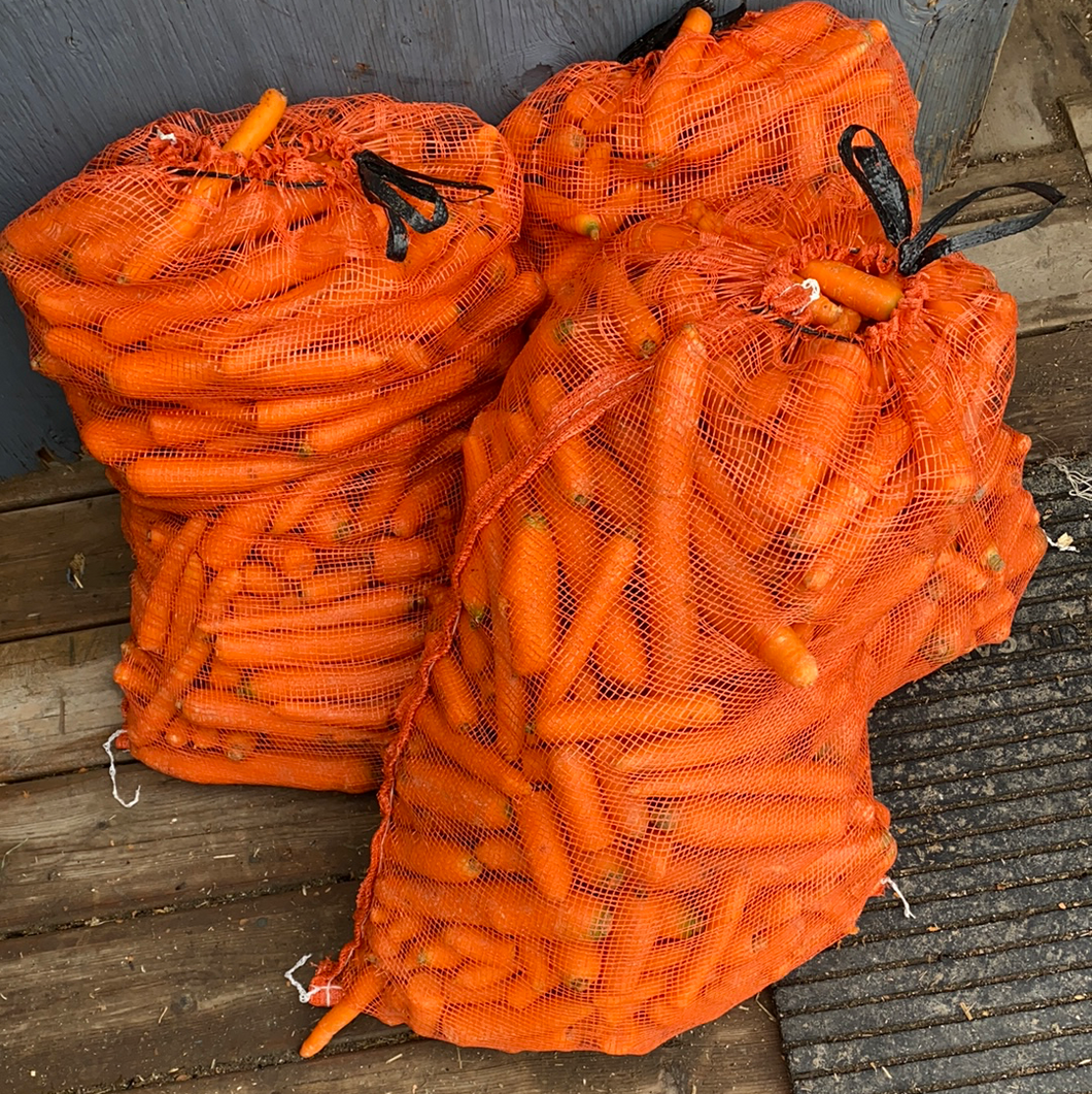 Carrots 50lb