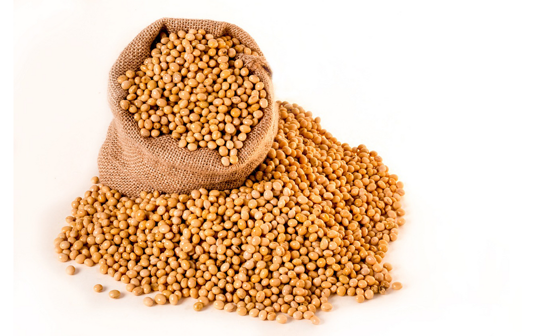 Roasted Flaked Soybeans 25KG