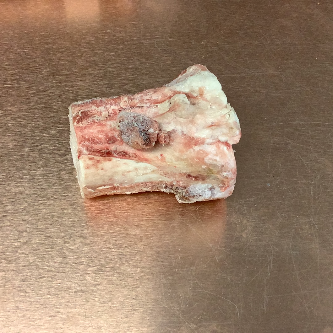 Buckslide 3” Frozen Raw Marrow Bone