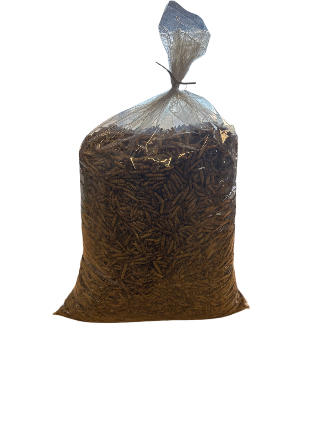 Dried Black Soldier Fly Larvae 3lb (48oz)
