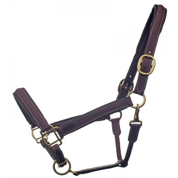 Bromont Raised and Padded Leather Halter - Pony