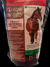 Load image into Gallery viewer, Himalayan Garlic Salt 1.5kg
