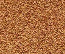 Load image into Gallery viewer, GS White Clover (Dutch) 10kg
