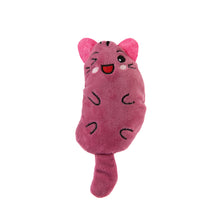 Load image into Gallery viewer, Brookbrand Pets Lil Catnip Buddy Cat Toy
