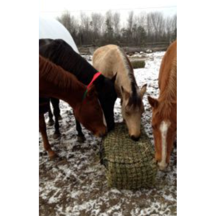 Slow Feed Hay Net For Small Squares 2