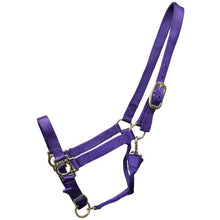 Load image into Gallery viewer, Ger-Ryan Premium Nylon Halter Full
