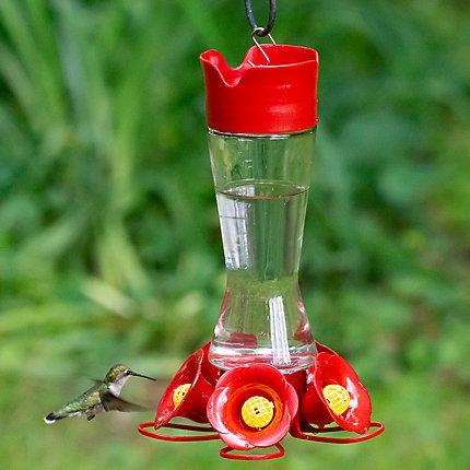 Perky Pet Pinch Waist Hummingbird Feeder