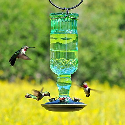 Perky Pet Antique Green Bottle Hummingbird Feeder 24oz