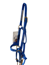Load image into Gallery viewer, USED Monty Robert’s halter, lead rope and cd guide  (A.D)
