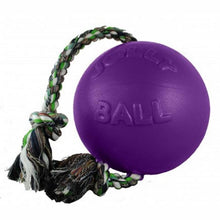 Load image into Gallery viewer, Jolly Ball Romp N&#39; Roll 8&quot;
