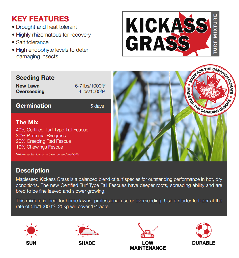 Kickass Grass Seed 2kg