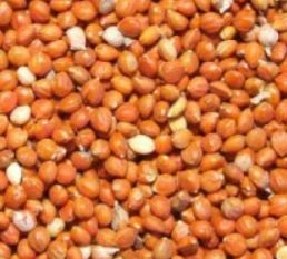 Red Millet 2kg