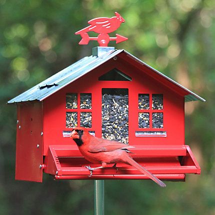 Perky Pet Squirrel Be Gone Country Style Bird Feeder