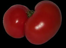 Load image into Gallery viewer, Gelert Garden Farm Ruby Treasure Tomato Seeds
