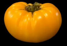 Load image into Gallery viewer, Gelert Garden Farm Loxton Lad Tomato Seeds
