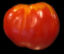 Load image into Gallery viewer, Gelert Garden Farm Italian Heirloom Tomato Seeds
