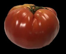 Load image into Gallery viewer, Gelert Garden Farm Usbekistan Tomato Seeds
