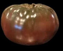 Load image into Gallery viewer, Gelert Garden Farm Tasmanian Chocolate Tomato Seeds
