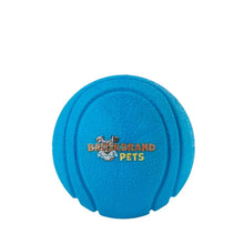 Load image into Gallery viewer, Brookbrand Pets Zilla Fetch Ball
