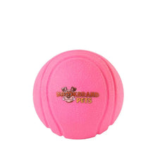 Load image into Gallery viewer, Brookbrand Pets Zilla Fetch Ball
