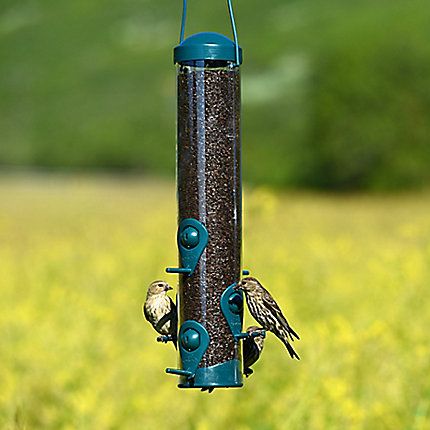 Perky Pet 2 in 1 Green Wild Bird and Finch Feeder