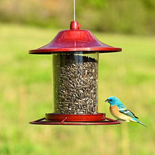 Load image into Gallery viewer, Perky Pet Sparkle Panorama Bird Feeder
