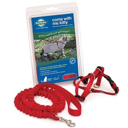 PetSafe Cat Harness and Bungee Leash Red LG