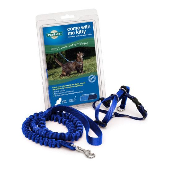 PetSafe Cat Harness and Bungee Leash Royal Blue Med
