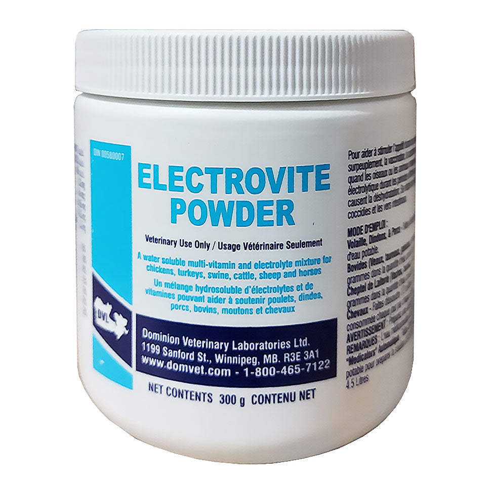 Electrovite Powder 300gm