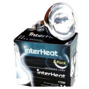 InterHeat Clear 175 Watt Heat Bulb 2 Pack