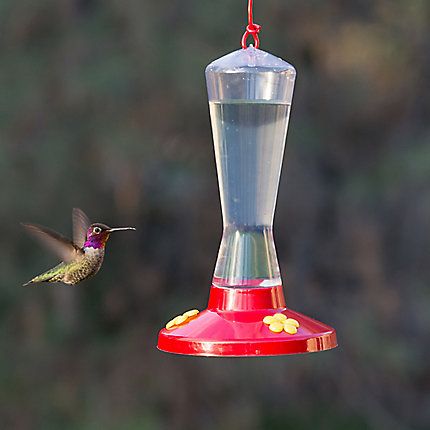 Perky Pet Hourglass Hummingbird Feeder