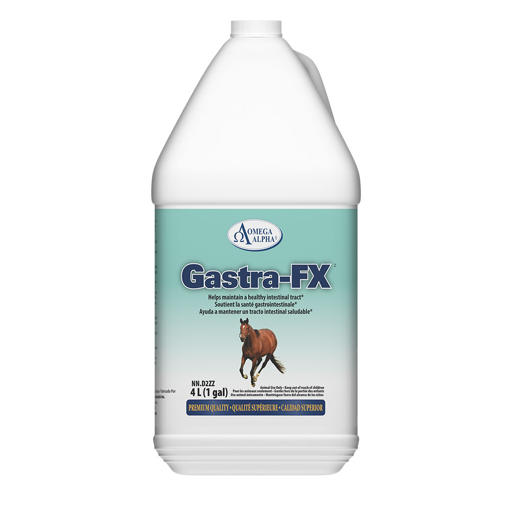 Omega Alpha Gastra-FX 4L