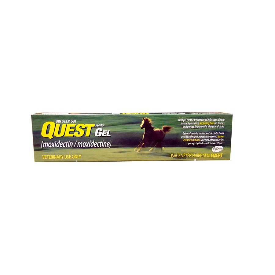 Quest Gel Dewormer for Horses 11.5ml